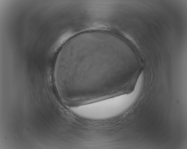 X0000080751455200701121950