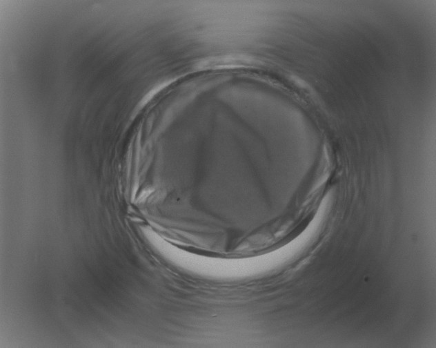 X0000080751457200701121950