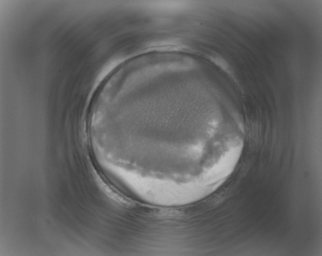 X0000080751466200701121950