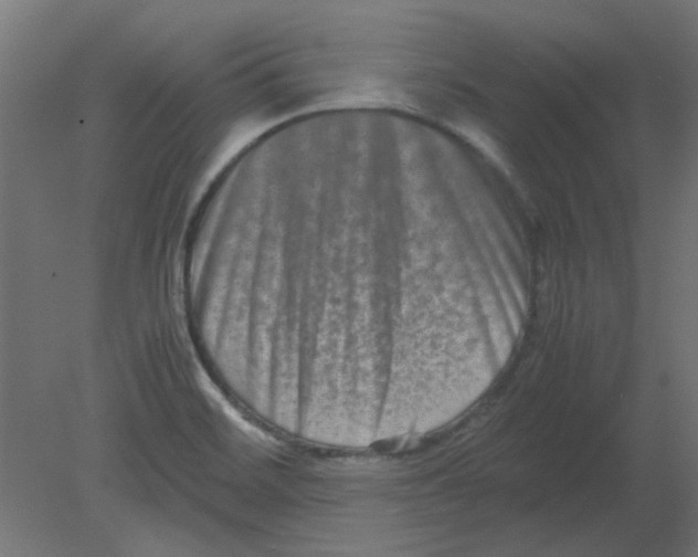 X0000080751468200701121950