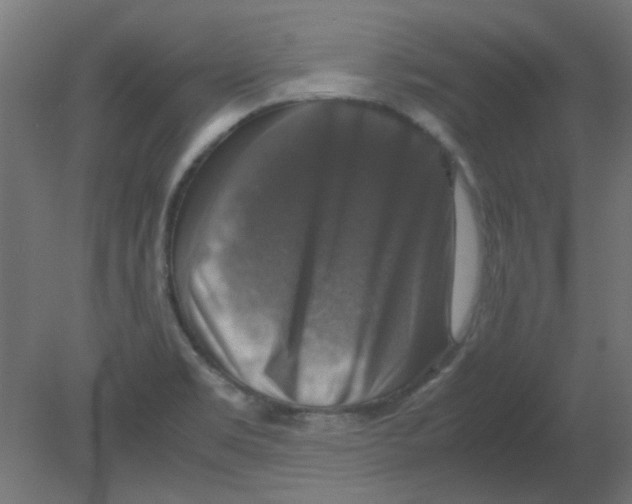 X0000080751469200701121950