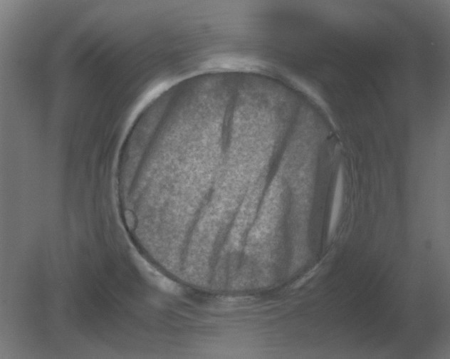 X0000080751471200701121950