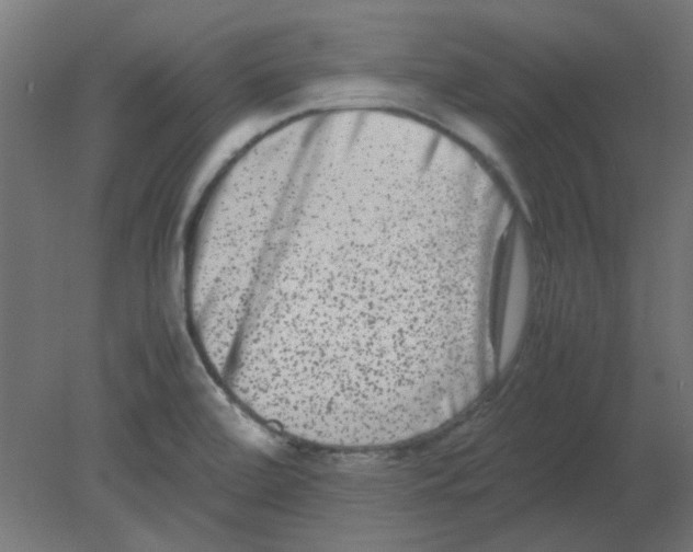 X0000080751472200701121950