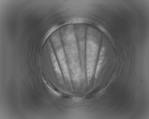 X0000080751473200701121950