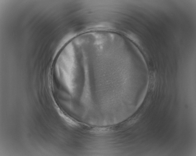 X0000080751474200701121950