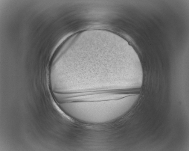 X0000080751476200701121950