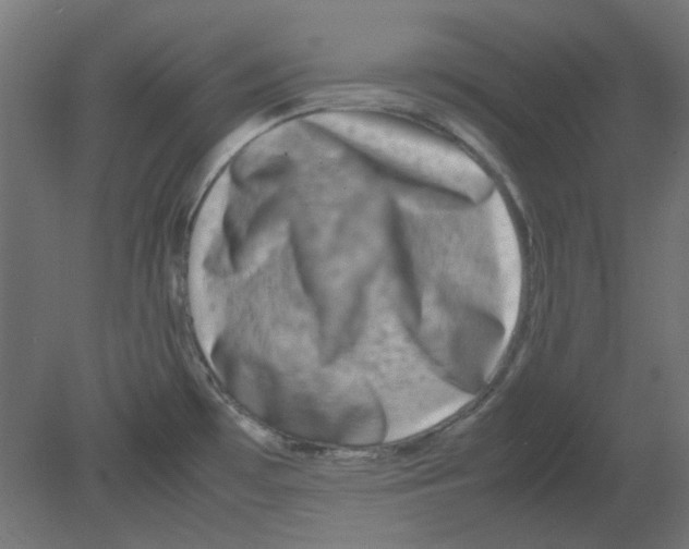 X0000080751481200701121950