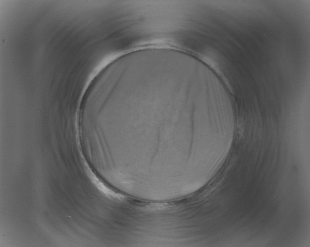 X0000080751482200701121950