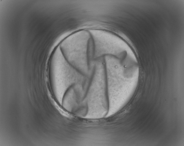 X0000080751485200701121950
