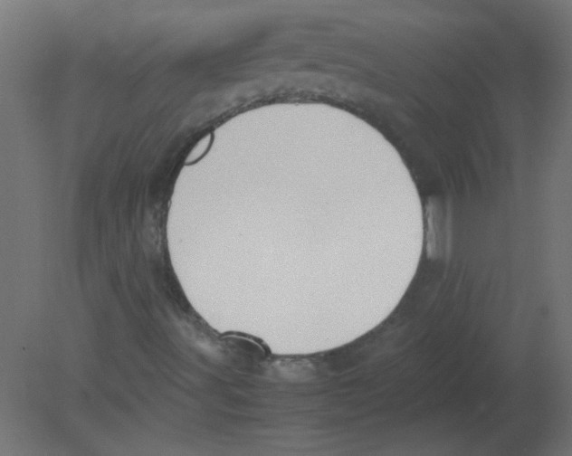 X0000080751491200701121949