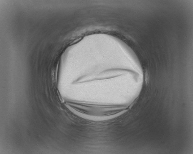 X0000080751492200701121949