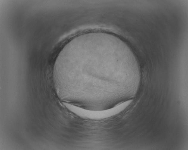 X0000080751494200701121949