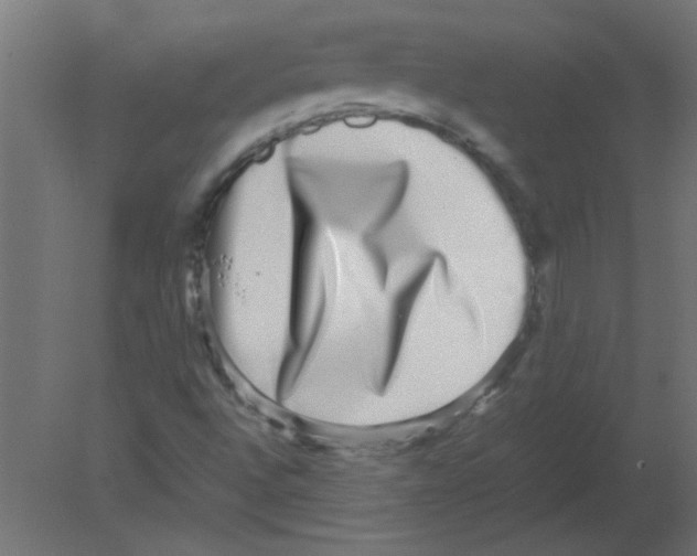 X0000080751496200701121949