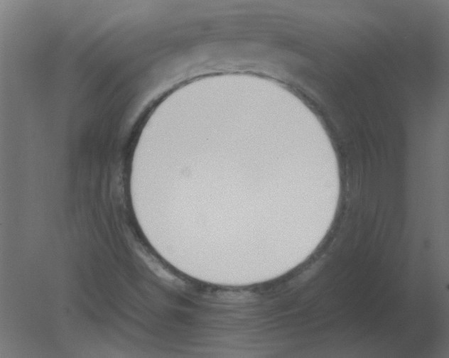 X0000080751498200701121949