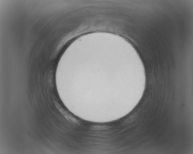 X0000080751499200701121949