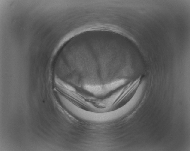 X0000080751506200701121949