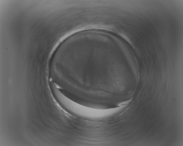 X0000080751508200701121949