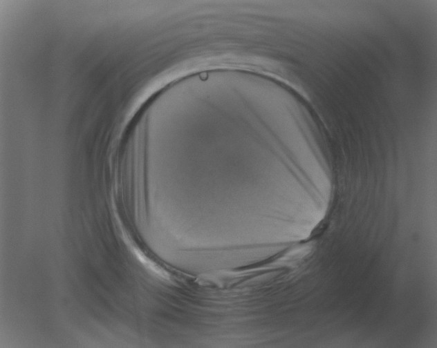 X0000080751515200701121949