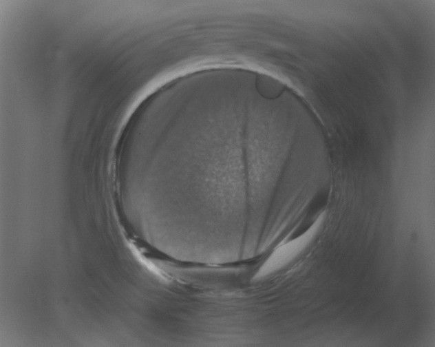 X0000080751519200701121949