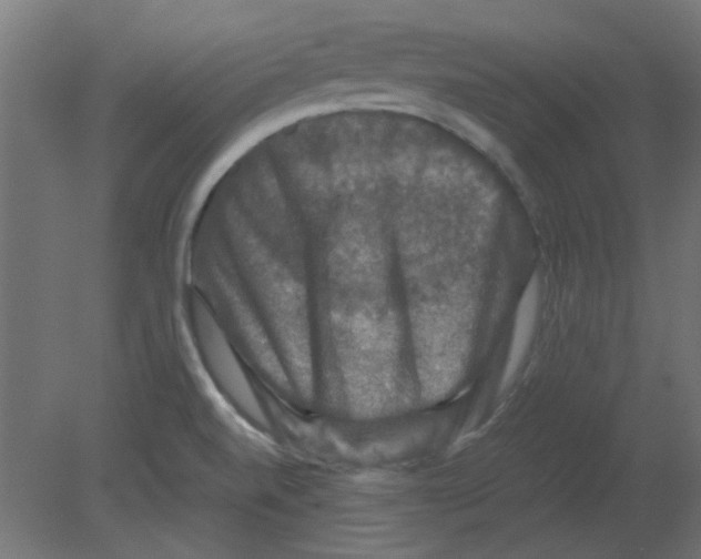 X0000080751520200701121950