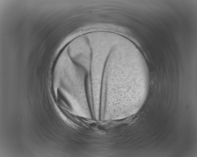 X0000080751523200701121950