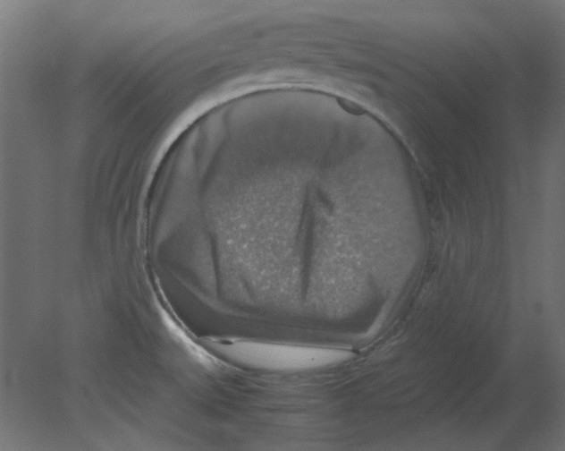 X0000080751527200701121950
