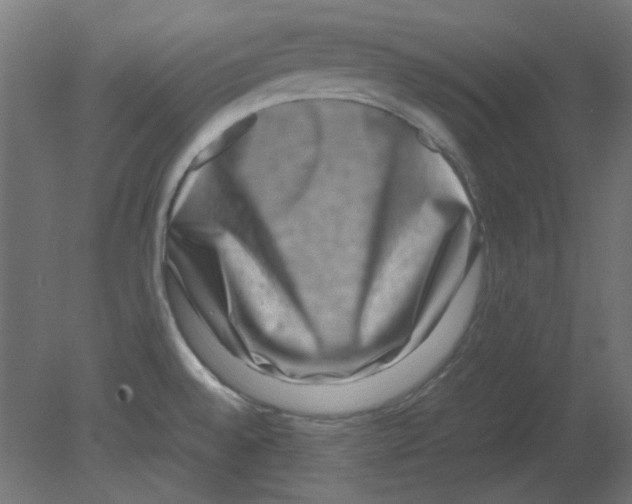 X0000080751528200701121950