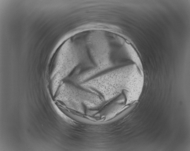 X0000080751531200701121950