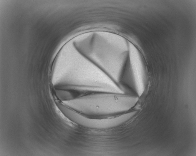 X0000080751532200701121950