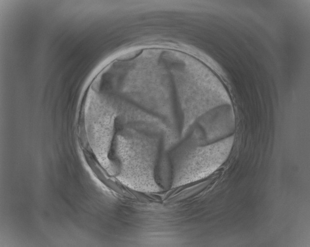 X0000080751536200701121950