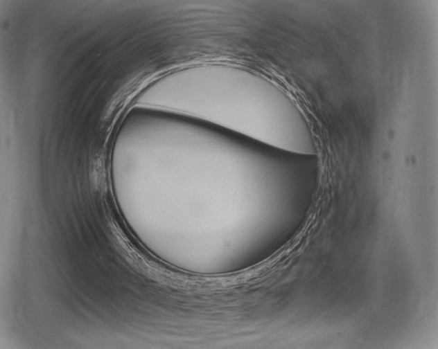 X0000080760002200612150945