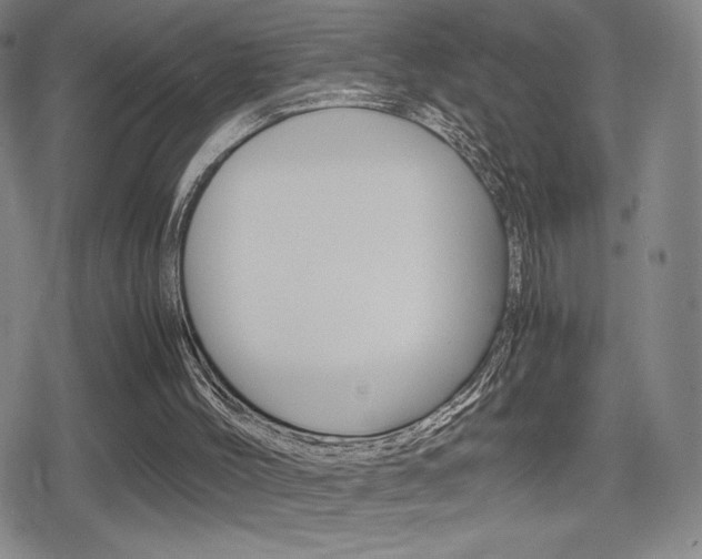 X0000080760004200612150945