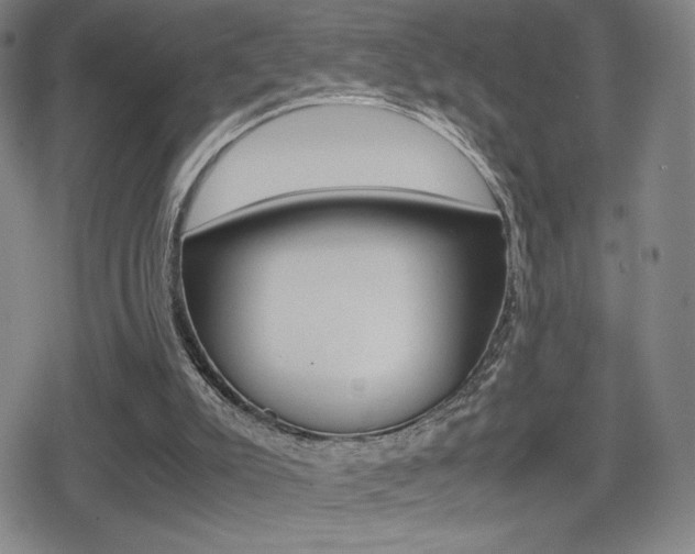 X0000080760007200612150945