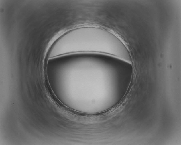 X0000080760008200612150945