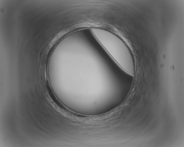 X0000080760011200612150945
