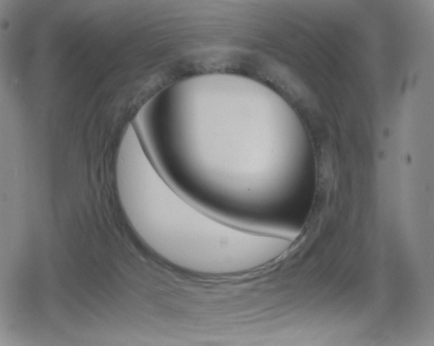 X0000080760025200612150945