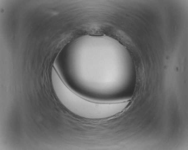 X0000080760037200612150945