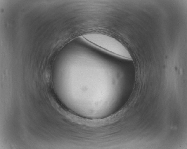 X0000080760039200612150945