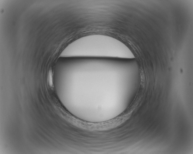 X0000080760046200612150945
