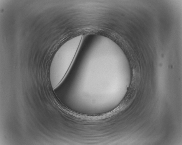X0000080760048200612150945