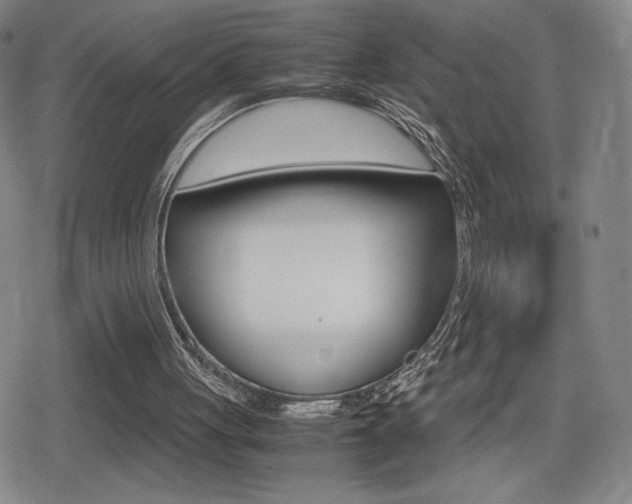 X0000080760051200612150944
