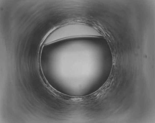 X0000080760052200612150944