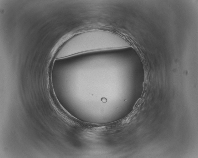 X0000080760054200612150944