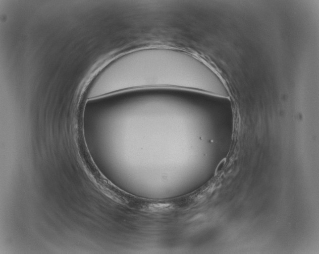 X0000080760055200612150944