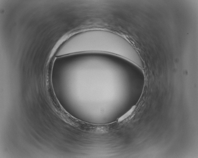 X0000080760056200612150944