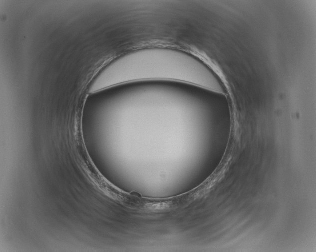 X0000080760057200612150944