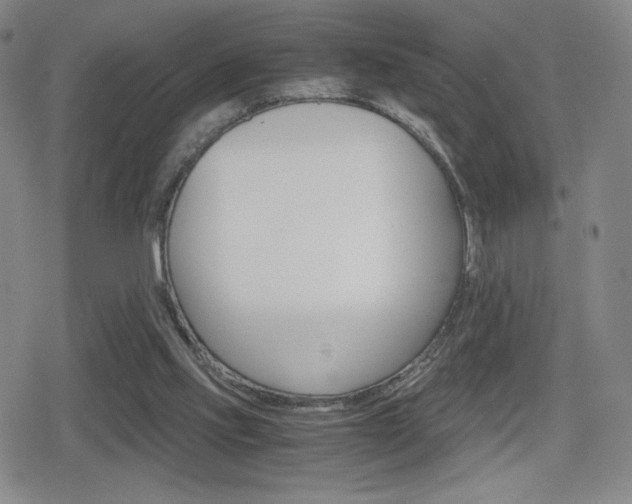 X0000080760061200612150944