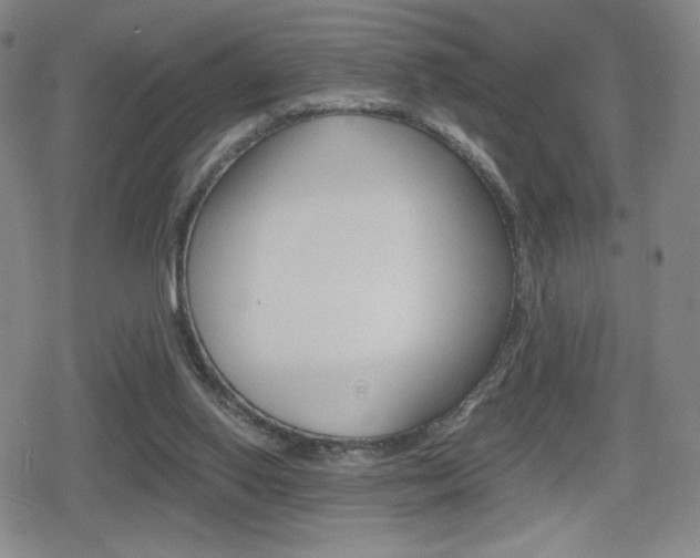 X0000080760062200612150944