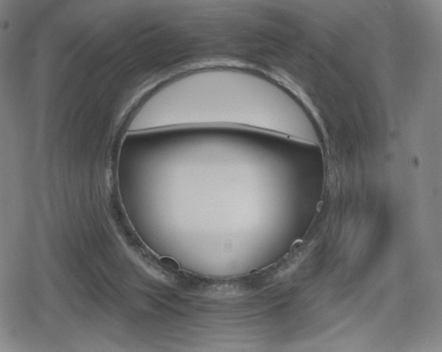 X0000080760063200612150944