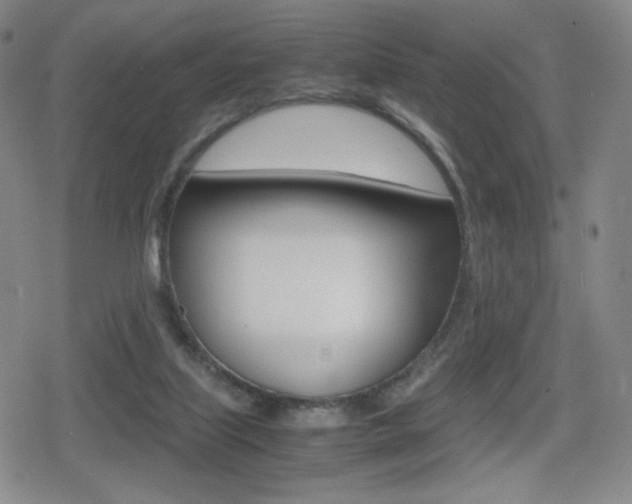X0000080760067200612150944